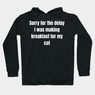 Sorry for the delay I was making breakfast for my cat Hoodie